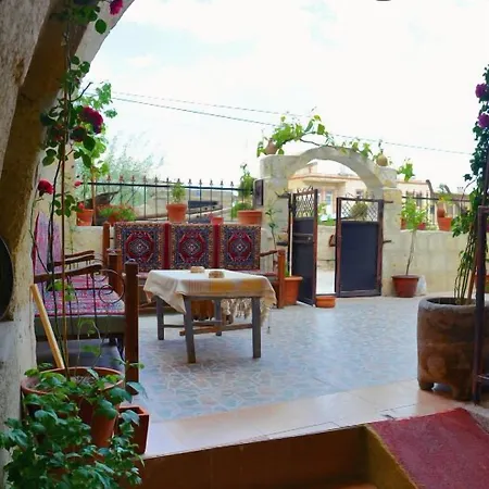 Ali's - Hotel *